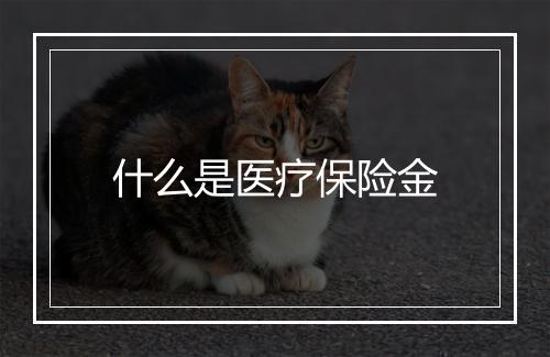 什么是医疗保险金