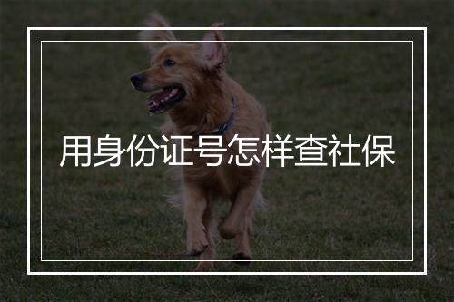 用身份证号怎样查社保
