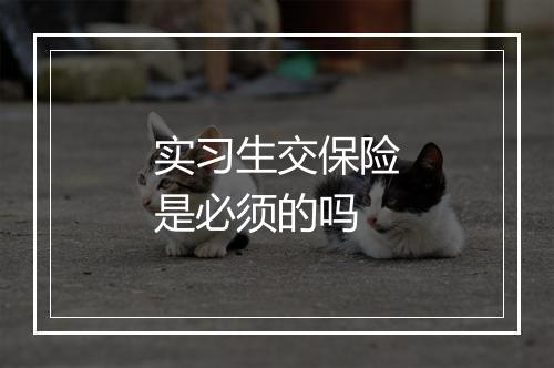 实习生交保险是必须的吗