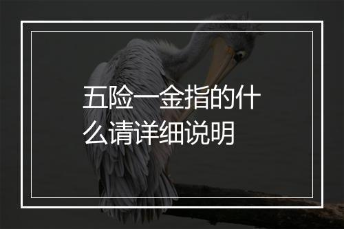 五险一金指的什么请详细说明
