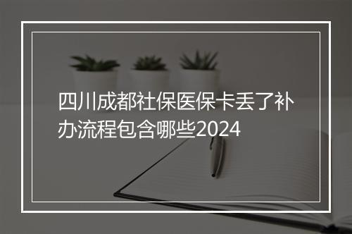 四川成都社保医保卡丢了补办流程包含哪些2024