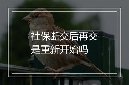 社保断交后再交是重新开始吗