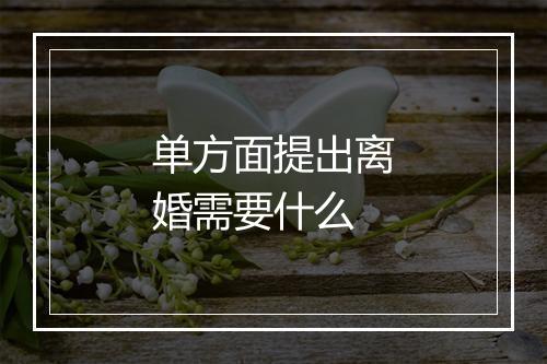 单方面提出离婚需要什么