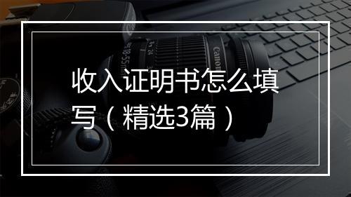 收入证明书怎么填写（精选3篇）