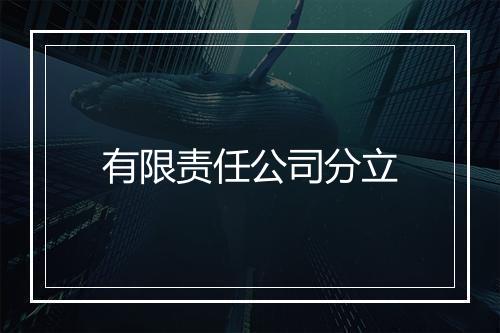 有限责任公司分立