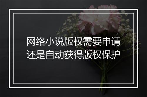 网络小说版权需要申请还是自动获得版权保护