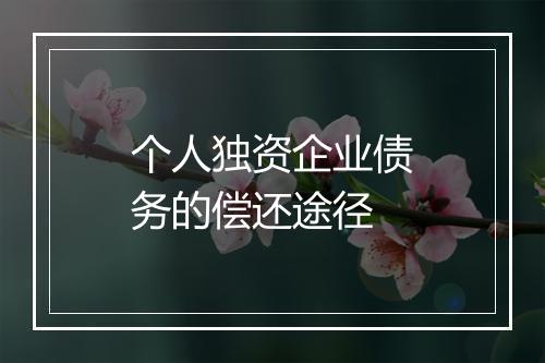 个人独资企业债务的偿还途径