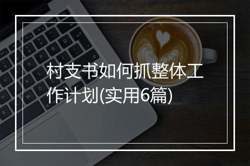 村支书如何抓整体工作计划(实用6篇)
