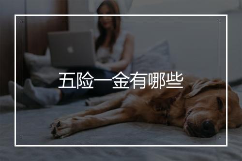 五险一金有哪些