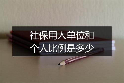 社保用人单位和个人比例是多少