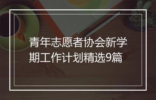青年志愿者协会新学期工作计划精选9篇