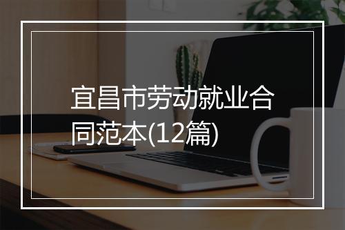 宜昌市劳动就业合同范本(12篇)