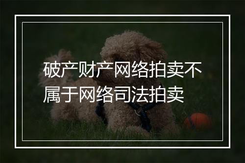 破产财产网络拍卖不属于网络司法拍卖