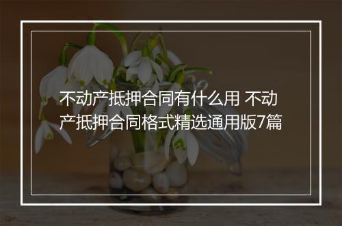 不动产抵押合同有什么用 不动产抵押合同格式精选通用版7篇