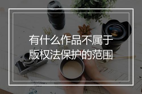 有什么作品不属于版权法保护的范围