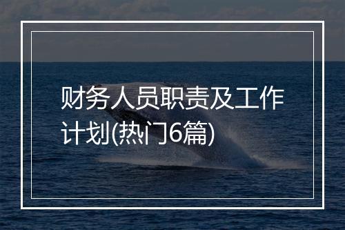 财务人员职责及工作计划(热门6篇)