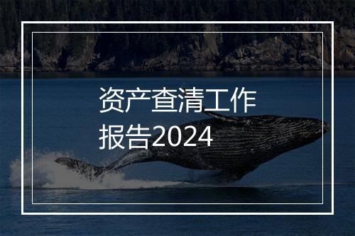 资产查清工作报告2024