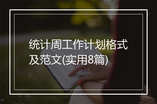 统计周工作计划格式及范文(实用8篇)