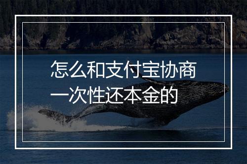 怎么和支付宝协商一次性还本金的