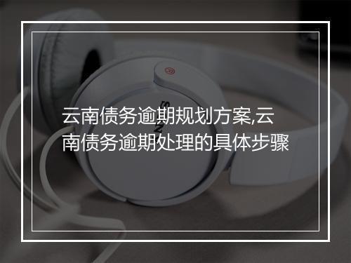 云南债务逾期规划方案,云南债务逾期处理的具体步骤