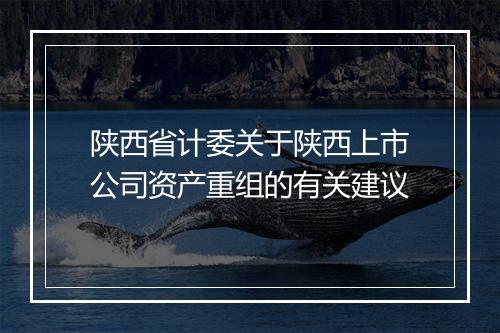 陕西省计委关于陕西上市公司资产重组的有关建议