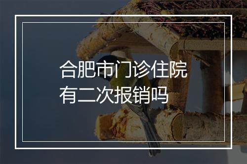 合肥市门诊住院有二次报销吗