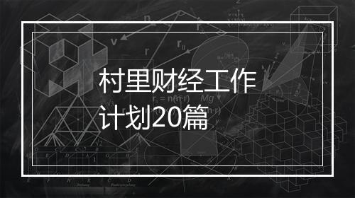村里财经工作计划20篇