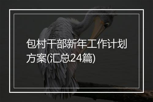 包村干部新年工作计划方案(汇总24篇)