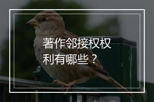 著作邻接权权利有哪些？