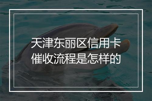 天津东丽区信用卡催收流程是怎样的