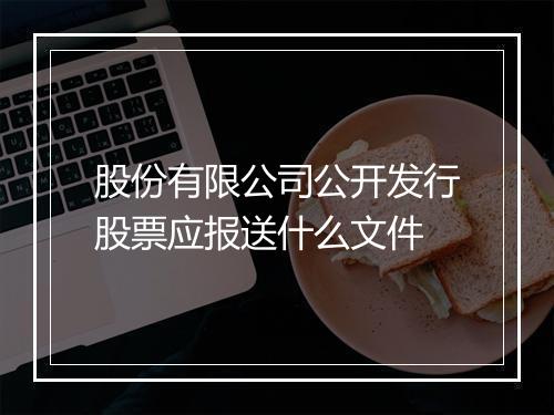 股份有限公司公开发行股票应报送什么文件