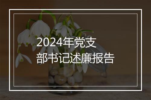 2024年党支部书记述廉报告