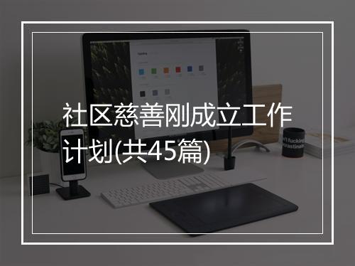 社区慈善刚成立工作计划(共45篇)