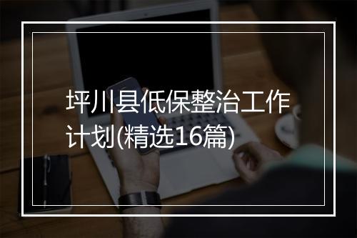 坪川县低保整治工作计划(精选16篇)