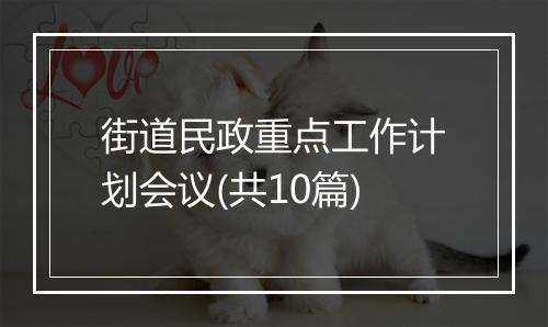 街道民政重点工作计划会议(共10篇)