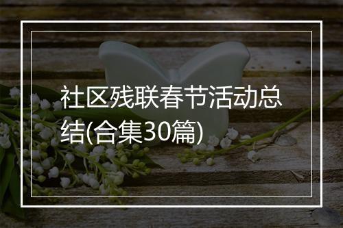 社区残联春节活动总结(合集30篇)