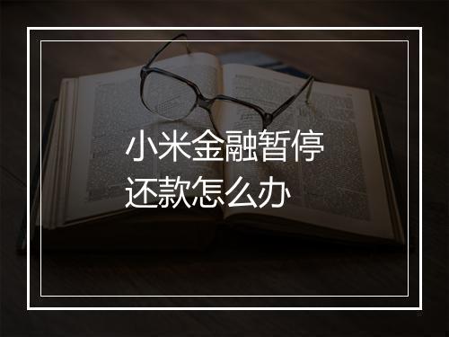 小米金融暂停还款怎么办