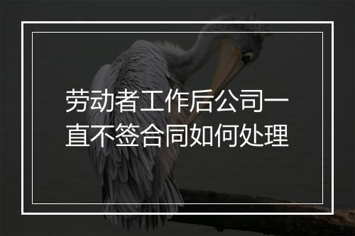 劳动者工作后公司一直不签合同如何处理