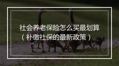 社会养老保险怎么买最划算（补缴社保的最新政策）