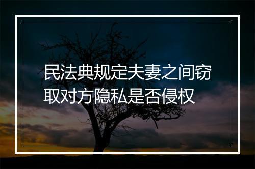 民法典规定夫妻之间窃取对方隐私是否侵权