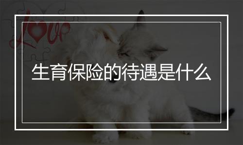 生育保险的待遇是什么