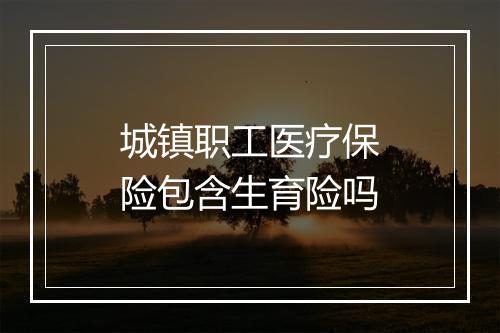 城镇职工医疗保险包含生育险吗