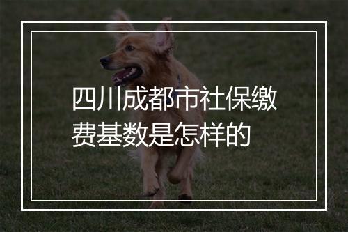 四川成都市社保缴费基数是怎样的