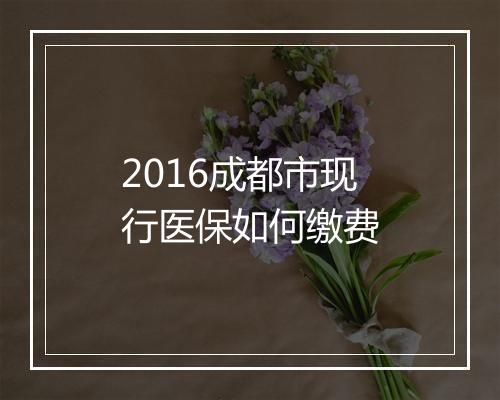 2016成都市现行医保如何缴费
