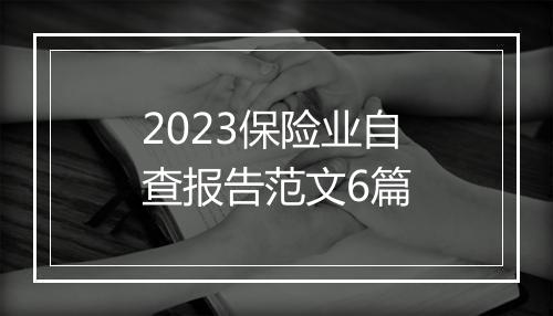 2023保险业自查报告范文6篇