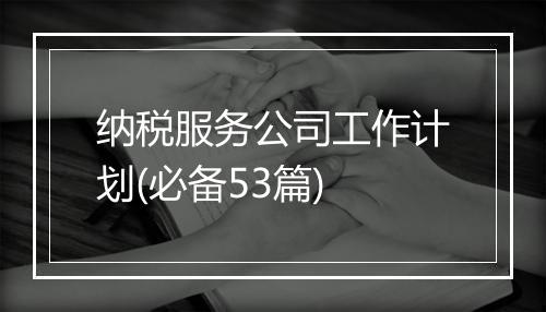 纳税服务公司工作计划(必备53篇)