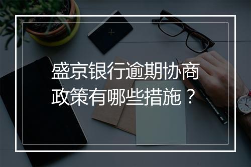 盛京银行逾期协商政策有哪些措施？
