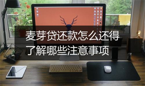 麦芽贷还款怎么还得了解哪些注意事项