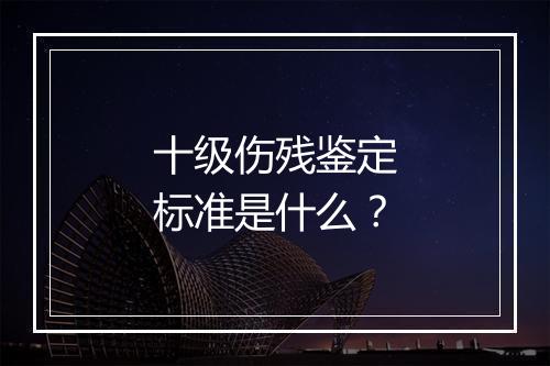 十级伤残鉴定标准是什么？