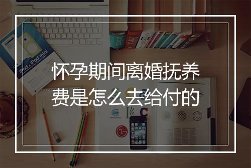 怀孕期间离婚抚养费是怎么去给付的